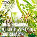 iaplc2020