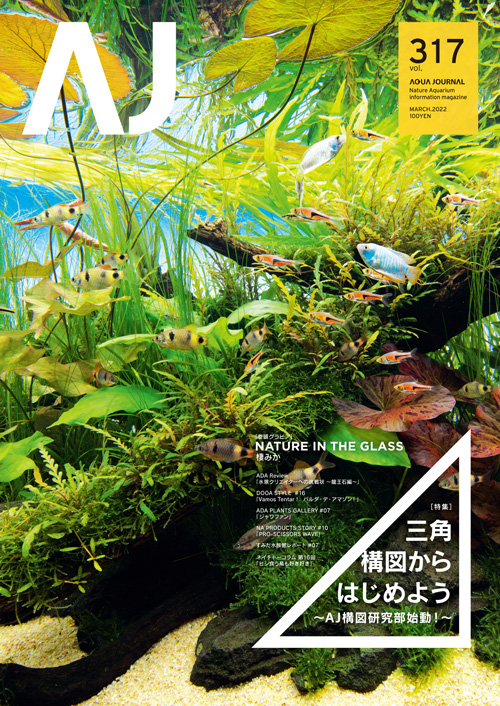 ADA】アクアジャーナル ロング AQUA JOURNAL 60冊