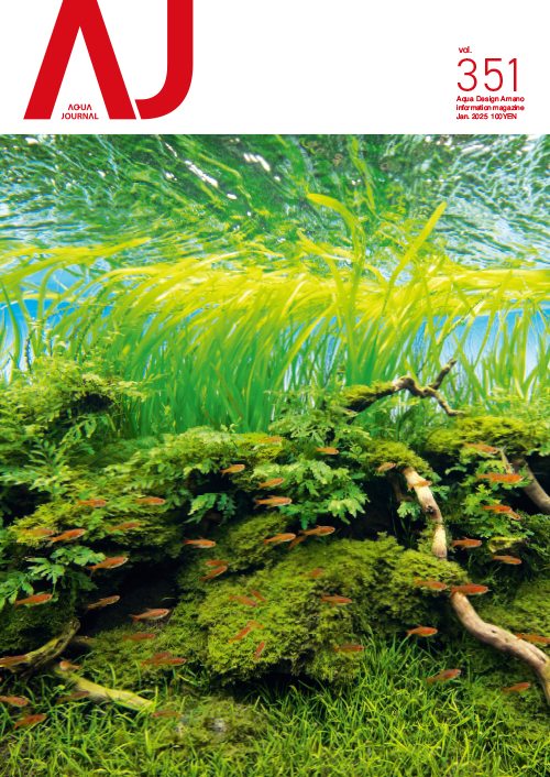 60冊セットアクアジャーナル（AQUA JOURNAL）ADA vol.2-93 （月刊 