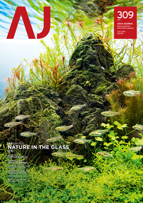 ADA Do! aqua vol.1 〜vol.8 アクアデザインアマノADA