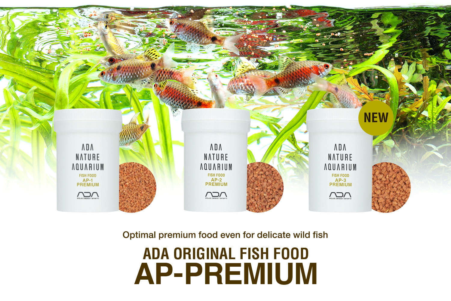 fishfood_apseries_intro