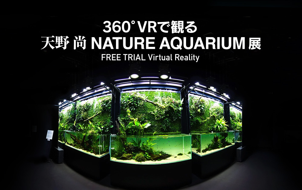 天野 尚 Nature Aquarium展 360 Vrサイトを公開しました Ada News Release