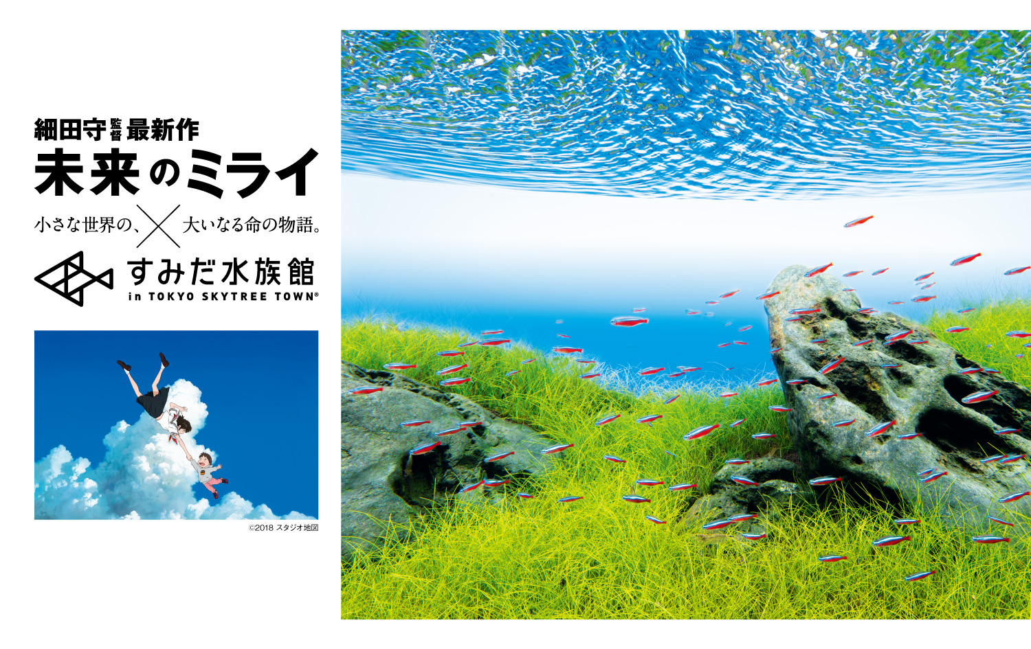 企画展「未来のミライ×すみだ水族館 小さな世界の、大いなる命の物語 