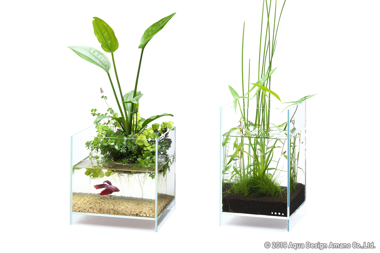 スローハウス×ADA ポップアップショップ出店！ | ADA - NEWS RELEASE 