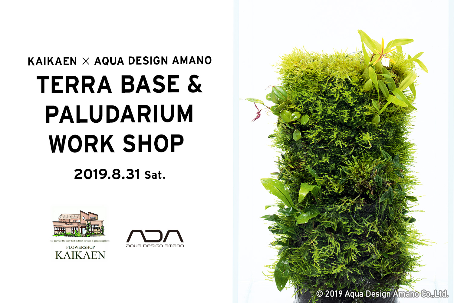 Flower Shop Kaikaen テラベース パルダリウム ワークショップ開催 Ada News Release Flower Shop Kaikaen テラベース パルダリウム ワークショップ開催 Ada News Release