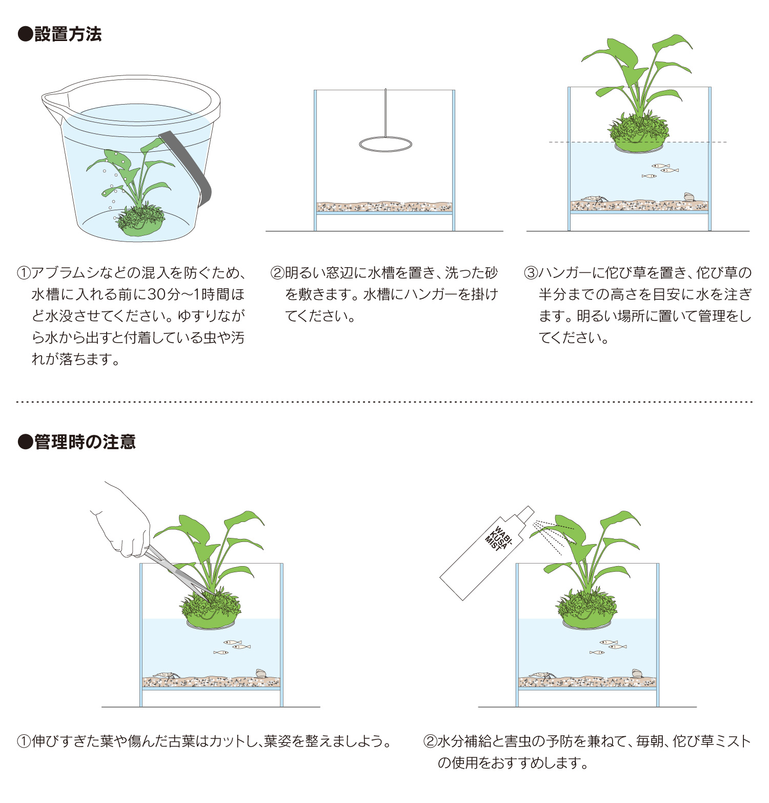 帰ってきた「ちいさな水辺セット」 期間限定販売のお知らせ | ADA 