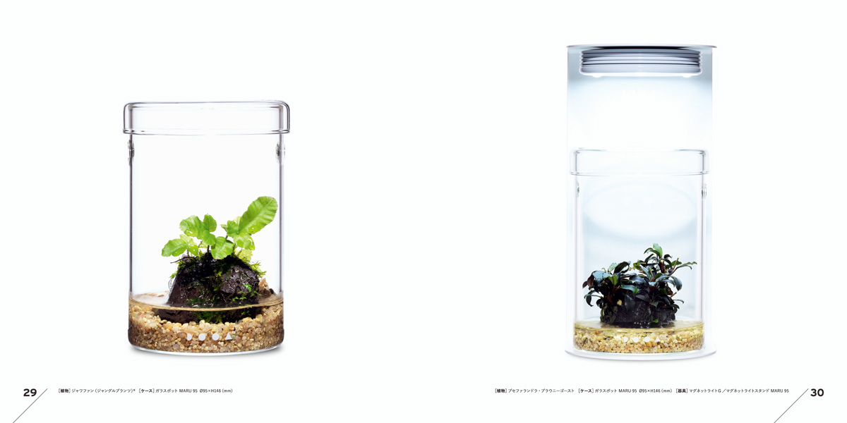 見て楽しむ作例集「Aquatic Plant Style Book」配布のお知らせ ADA NEWS RELEASE