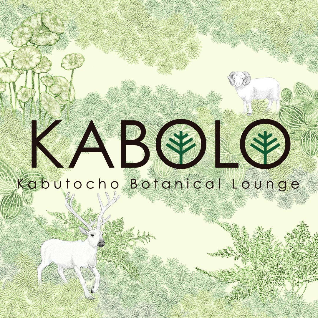 体験型植物イベント Kabolo パルダリウム ワークショップ開催 Ada News Release
