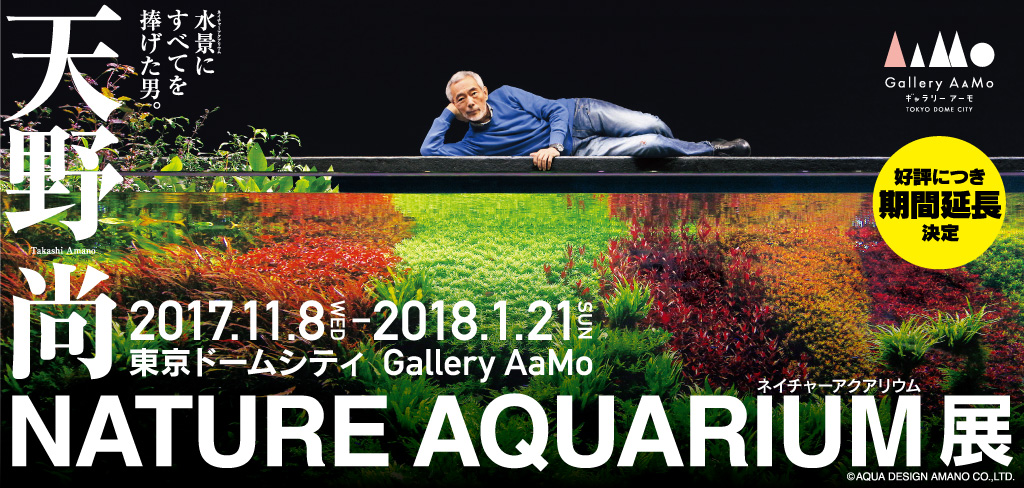 12 8追記 天野尚 Nature Aquarium展 開催決定 Ada News Release