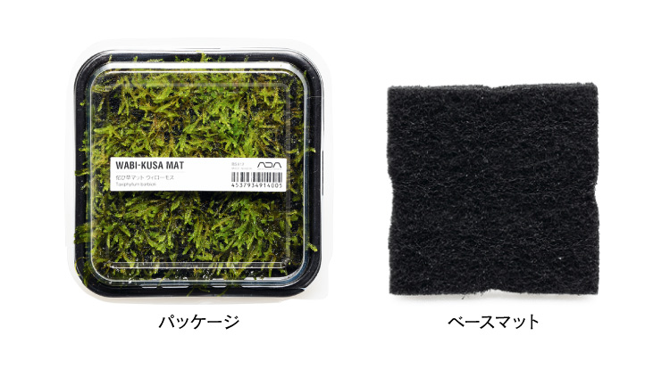 佗び草マット6種類のラインナップを公開しました Ada News Release 佗び草マット6種類のラインナップを公開しました Ada News Release