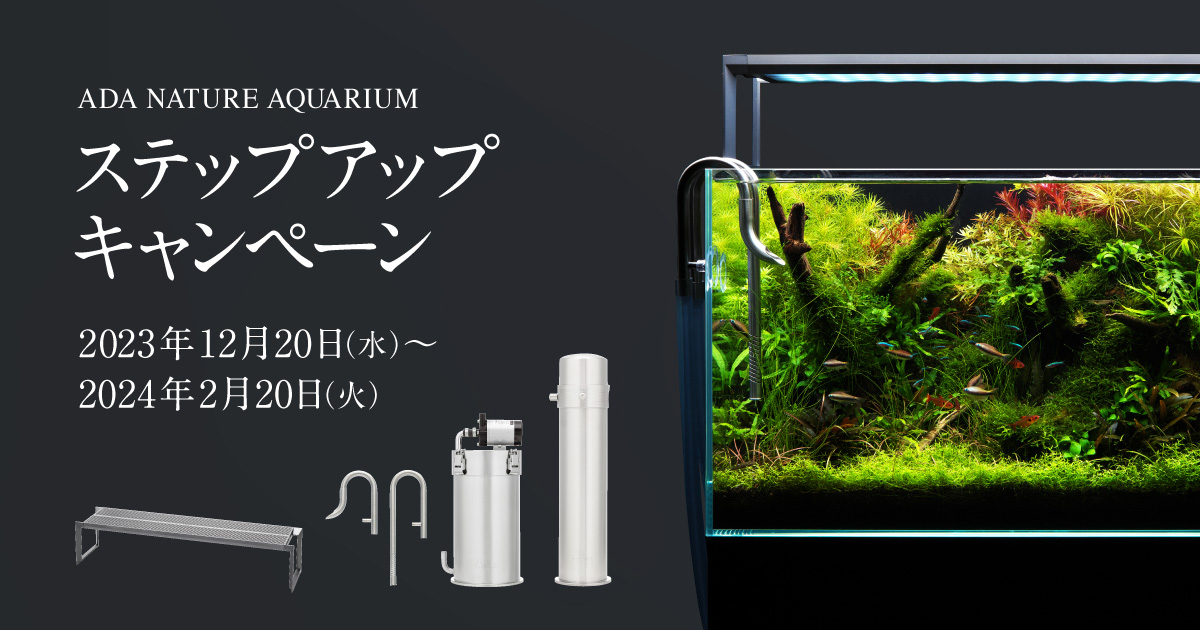 ステップアップキャンペーン実施のお知らせ | ADA - NEWS RELEASE