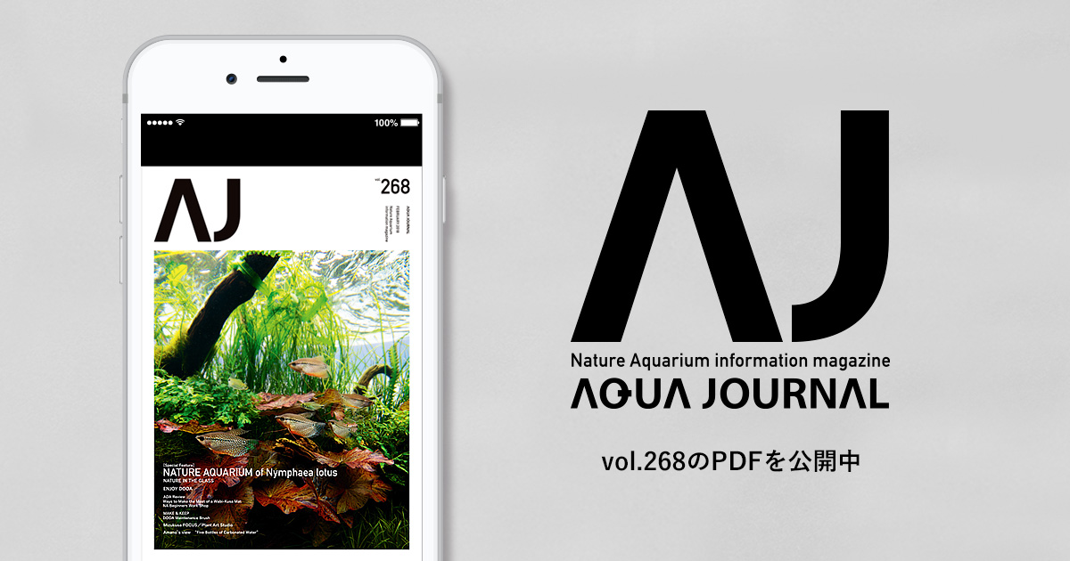 月刊「アクア・ジャーナル」vol.268のPDFを公開しました | ADA - NEWS