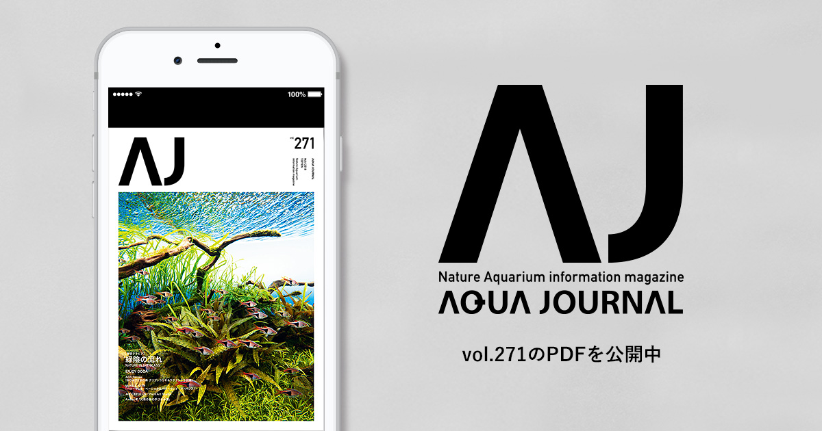 月刊「アクア・ジャーナル」vol.271のPDFを公開しました | ADA - NEWS