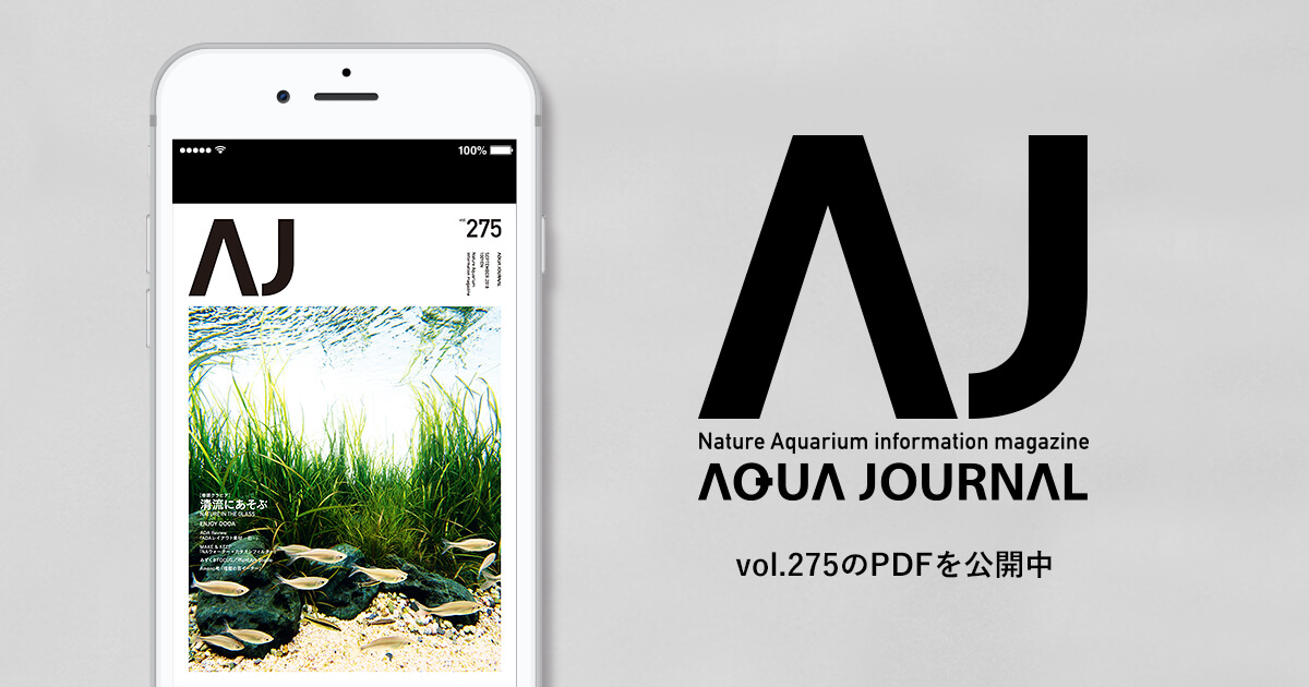 月刊「アクア・ジャーナル」vol.275のPDFを公開しました | ADA - NEWS