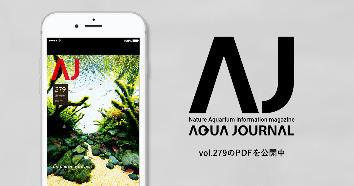 月刊「アクア・ジャーナル」vol.279のPDFを公開しました | ADA - NEWS
