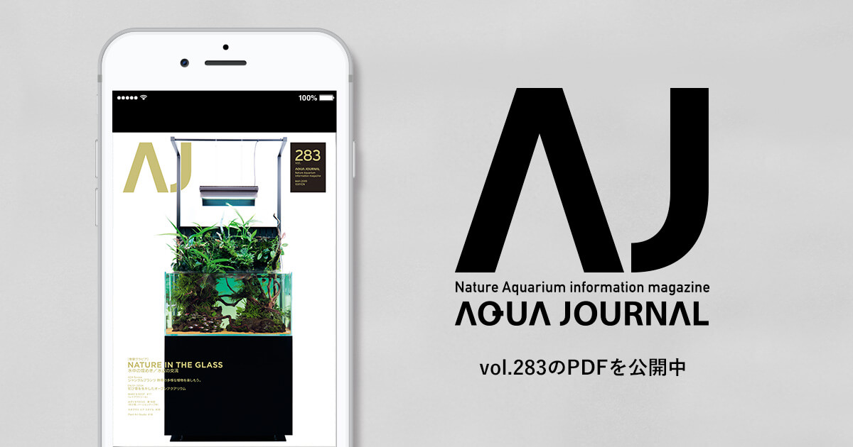 月刊「アクア・ジャーナル」vol.283のPDFを公開しました | ADA