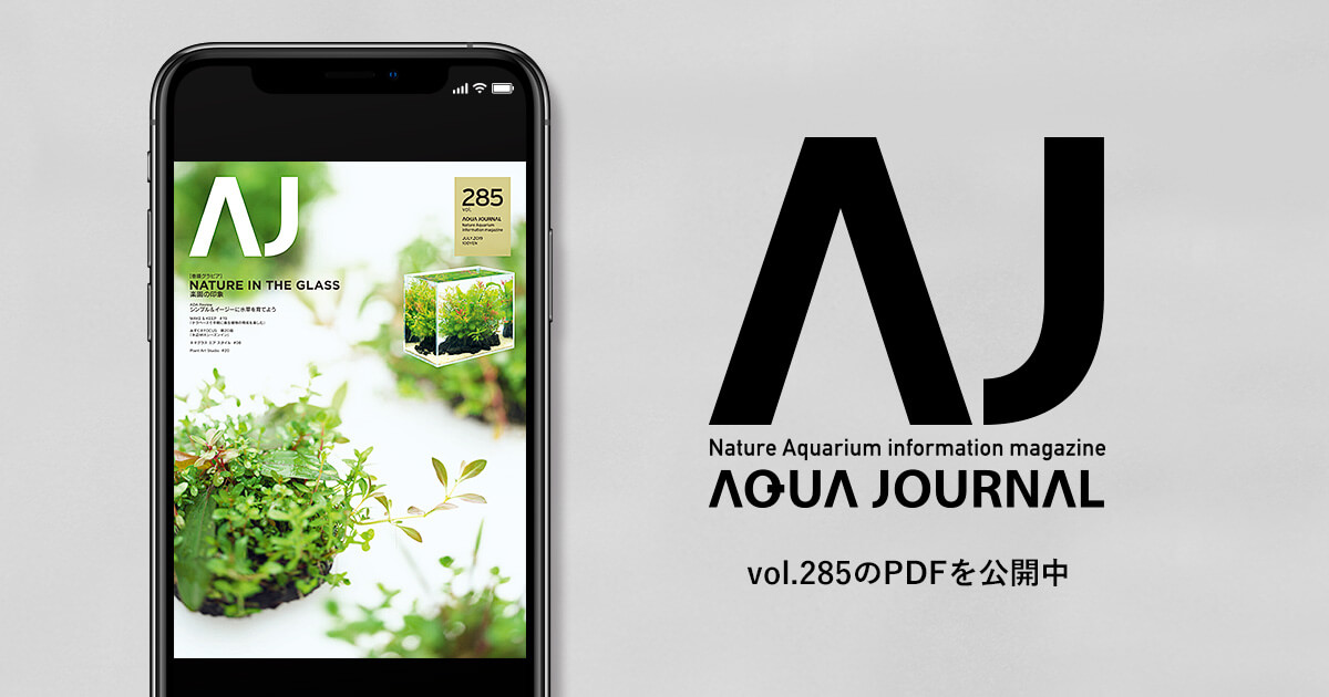 月刊「アクア・ジャーナル」vol.285のPDFを公開しました | ADA - NEWS
