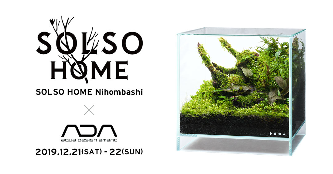 SOLSO HOME Nihombashi パルダリウム ワークショップ開催 | ADA - NEWS