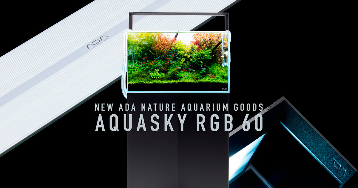 【新品/送料無料】限定　生産終了　ADA アクアスカイRGB 60 ブラック