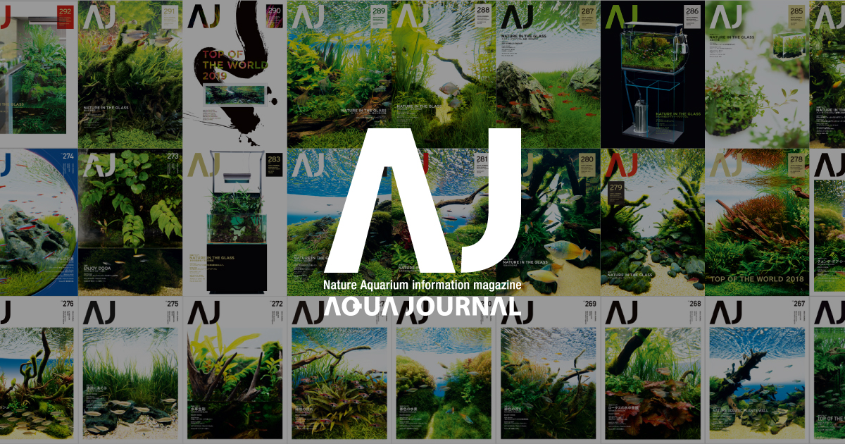 月刊「アクア・ジャーナル」 バックナンバーのPDFを公開しています