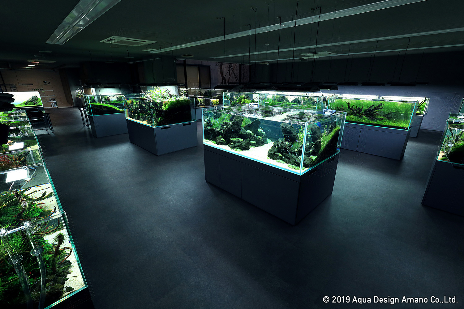 Nature Aquarium Gallery is closed until March 31, 2019