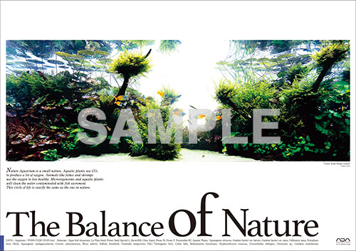 Balance of Natureポスター発売のお知らせ | ADA - NEWS RELEASE