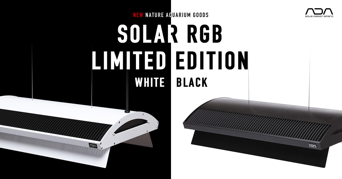 New Release of Solar RGB Limited Edition White / Black | ADA 