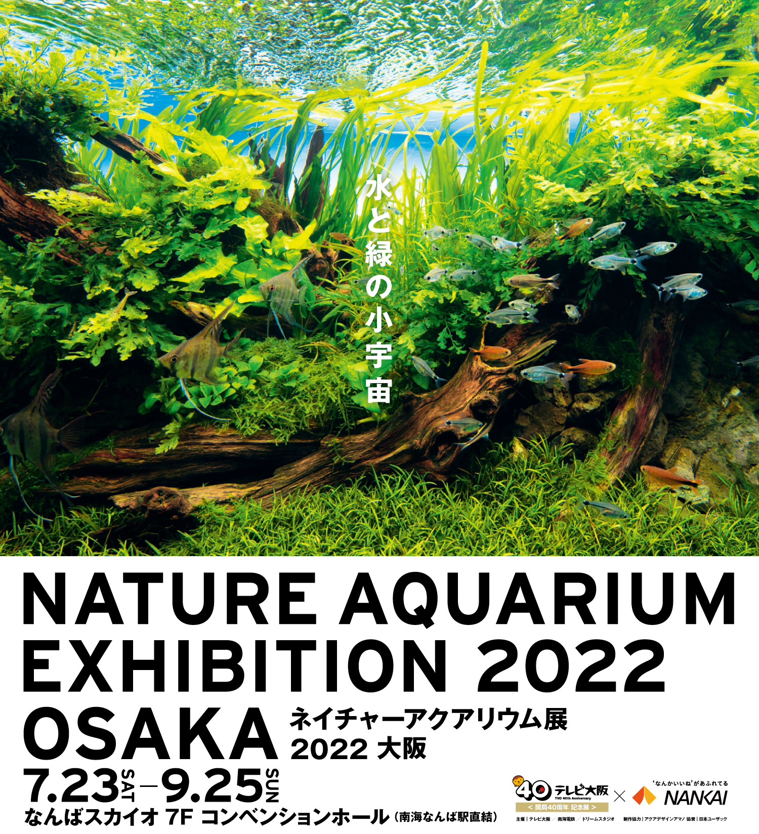 未使用自宅保管ADA NATURE AQUARIUM