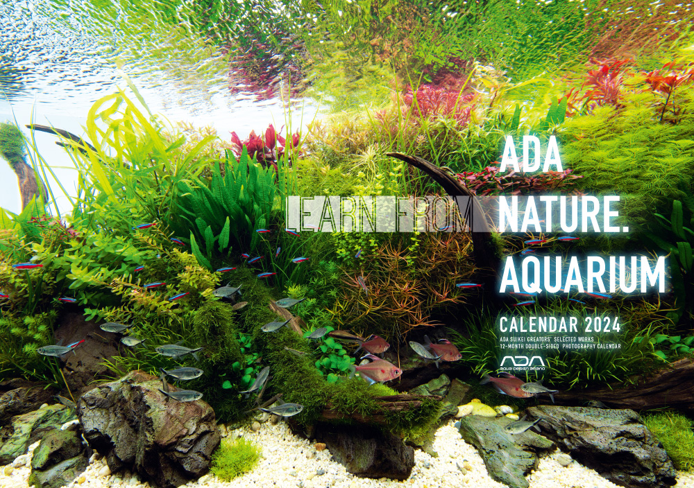 未使用自宅保管ADA NATURE AQUARIUM