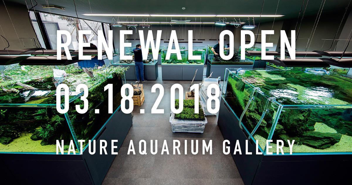 NATURE AQUARIUM GALLERY will be open!