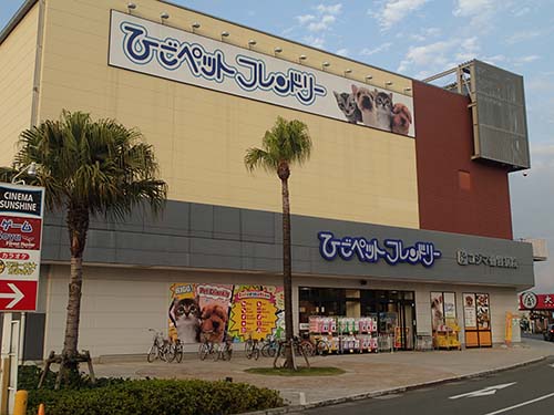 エミフル ひご ペット ひごペットフレンドリー エミフルMASAKI店（伊予郡松前町筒井850番エミフルMASAKI内）の写真2枚｜エキテン