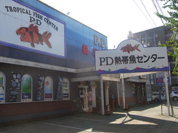 部分的 聴く 流暢 熱帯魚 Pd Psychoacoustic Crue Net 部分的 聴く 流暢 熱帯魚 Pd Psychoacoustic Crue Net