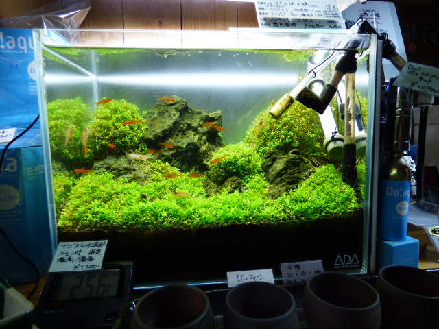 アクアガレージ スズキ Aqua Design Amano 販売特約店