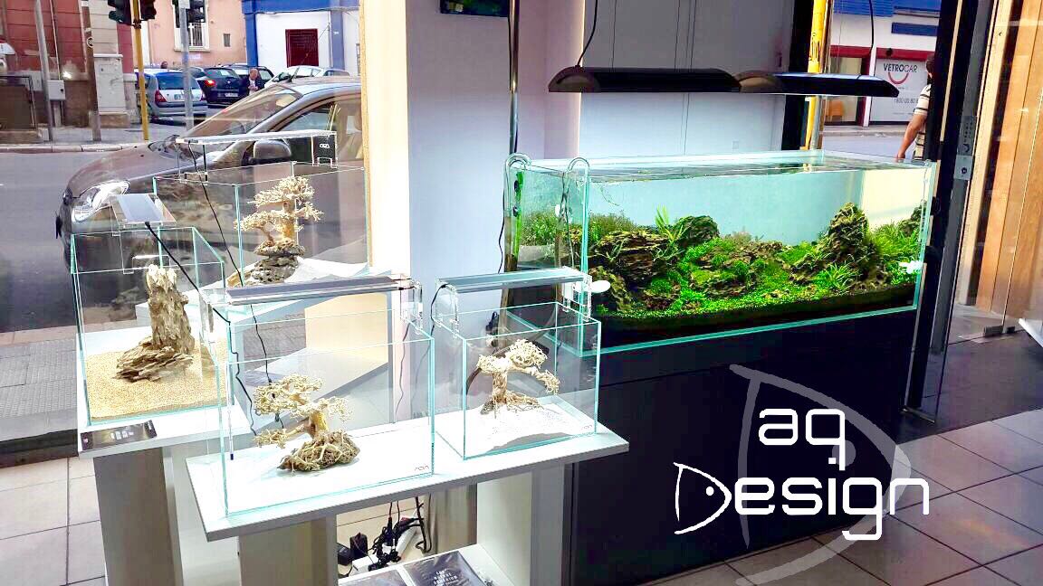 Aq Design Aqua Design Amano