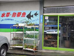 アクアマリン熊本 Aqua Design Amano 販売特約店