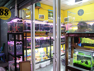 aquarium retailers