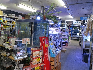 みつい園 Aqua Design Amano 販売特約店