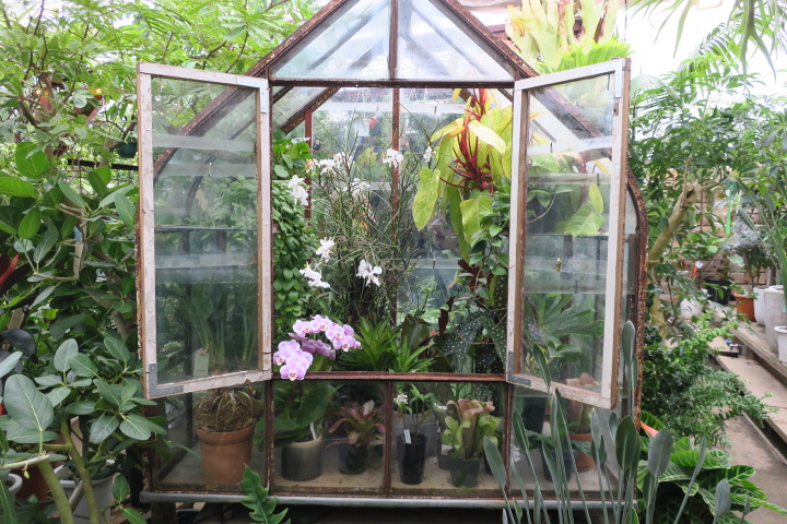 Solso Farm Aqua Design Amano 販売特約店