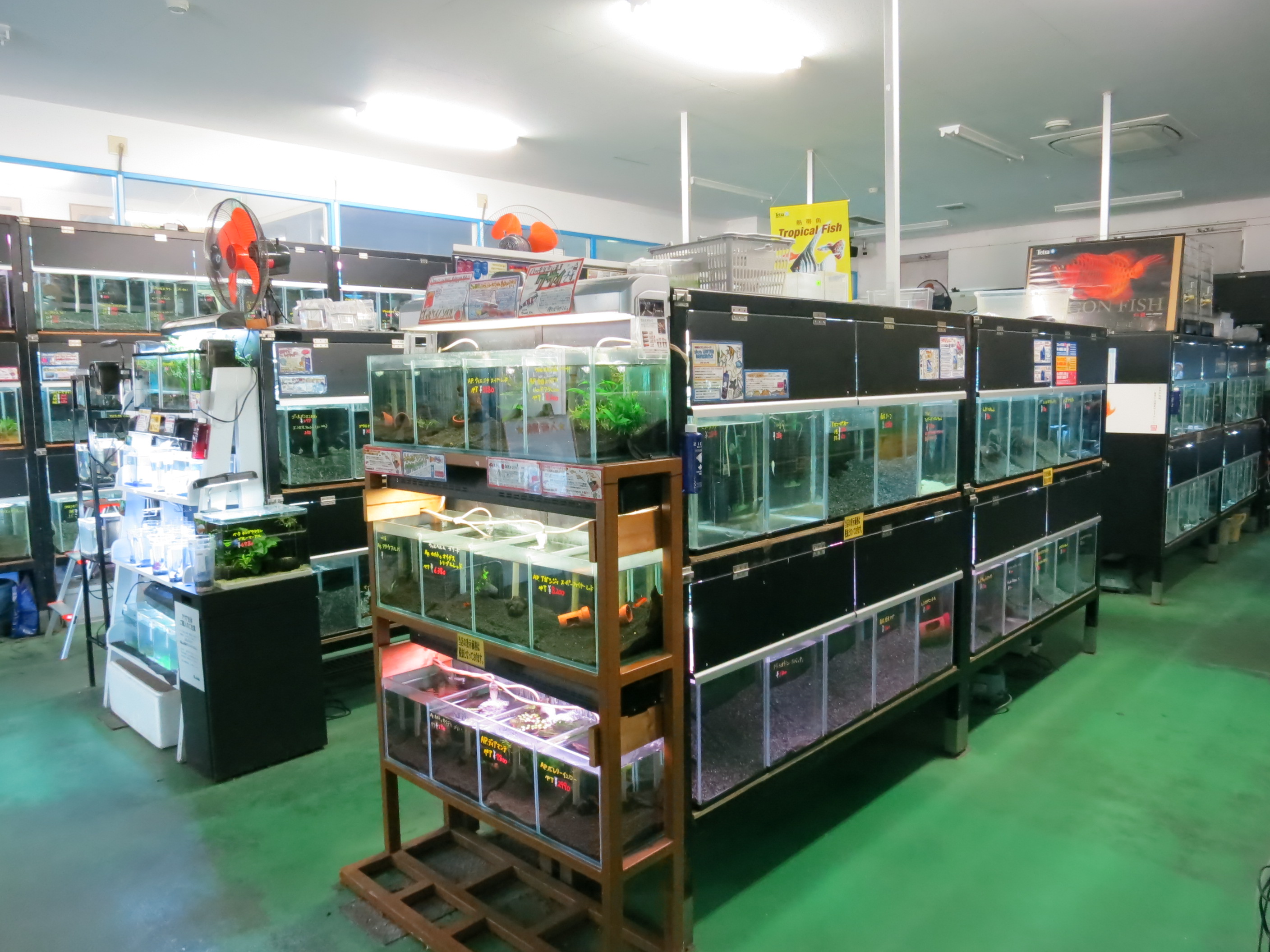 かねだい 本町田店 Aqua Design Amano 販売特約店