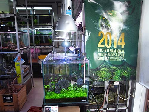 アクアペット 小倉店 Aqua Design Amano 販売特約店 アクアペット 小倉店 Aqua Design Amano 販売特約店