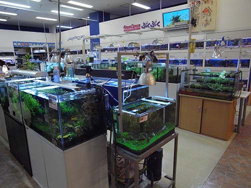 アクアスペースぶくぶく Aqua Design Amano 販売特約店