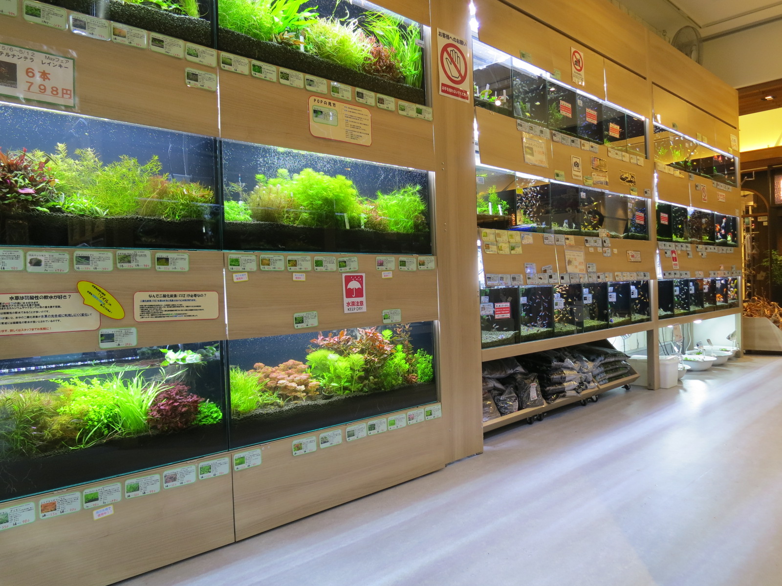 アクアフォレスト 東京スカイツリータウン ソラマチ店 Aqua Design Amano 販売特約店