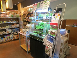 P2なんばパークス店 Aqua Design Amano 販売特約店