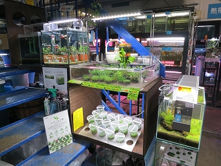 みつい園 Aqua Design Amano 販売特約店