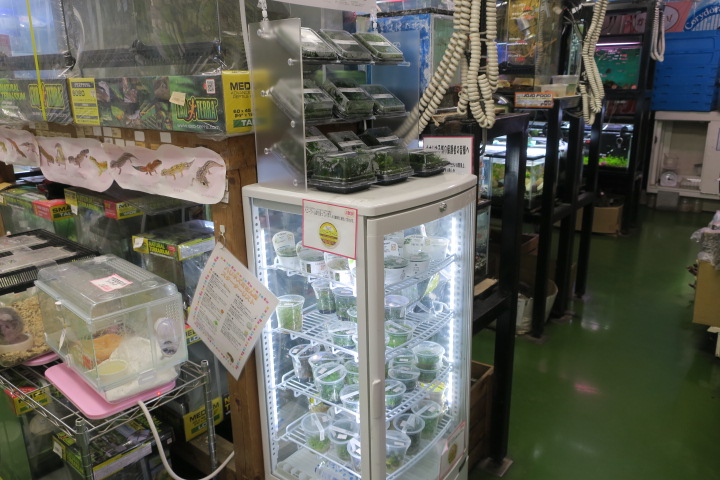 アクアパーク Aqua Design Amano 販売特約店