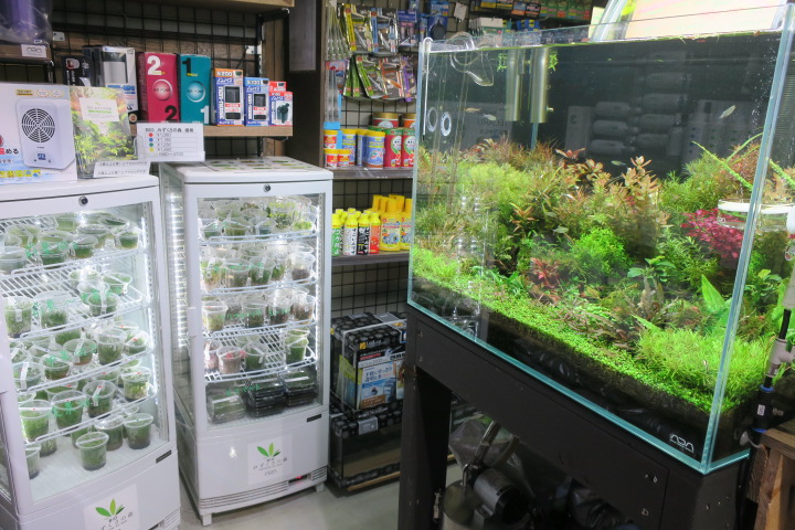 Aqua Free Aqua Design Amano 販売特約店