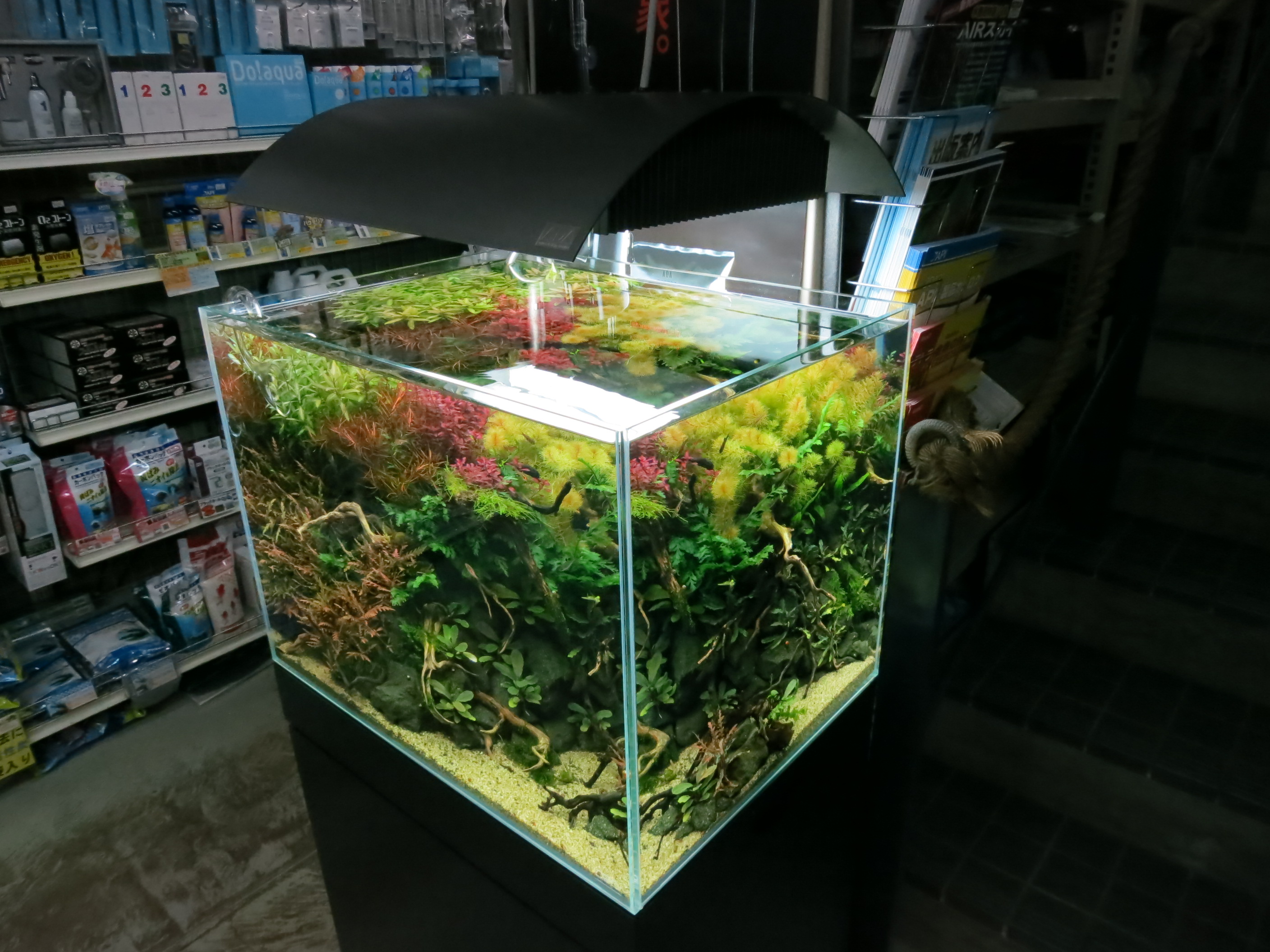 Fuji 3a Project Aqua Design Amano 販売特約店