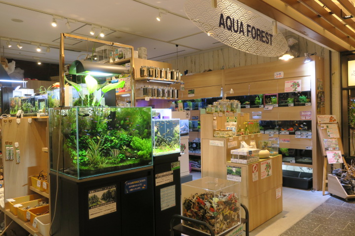 アクアフォレスト 東京スカイツリータウン ソラマチ店 Aqua Design Amano 販売特約店