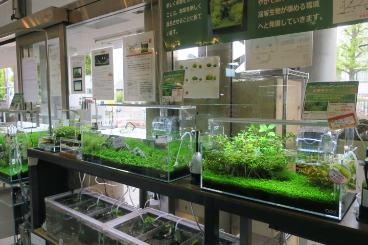 ペンギンビレッジ 大泉店 Aqua Design Amano 販売特約店