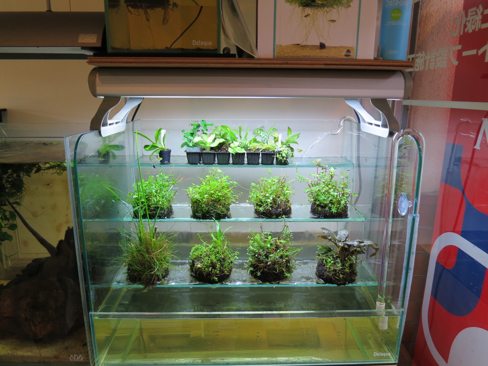 Aquarium Shop Earth Aqua Design Amano 販売特約店